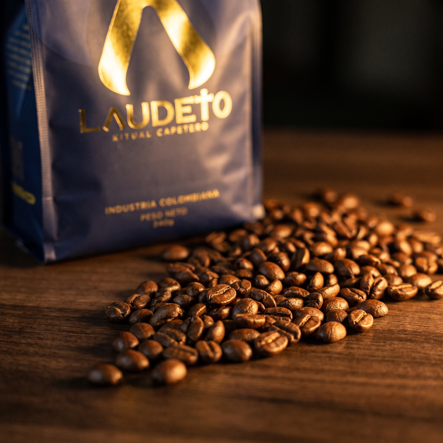 Laudeto Castillo — macro of freshly roasted coffee beans