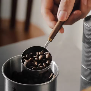 Premium 25ml Walnut Wood & Stainless Steel Coffee Scoop