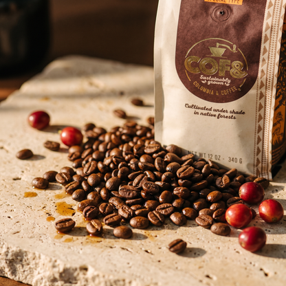 Curití Washed — macro of freshly roasted coffee beans