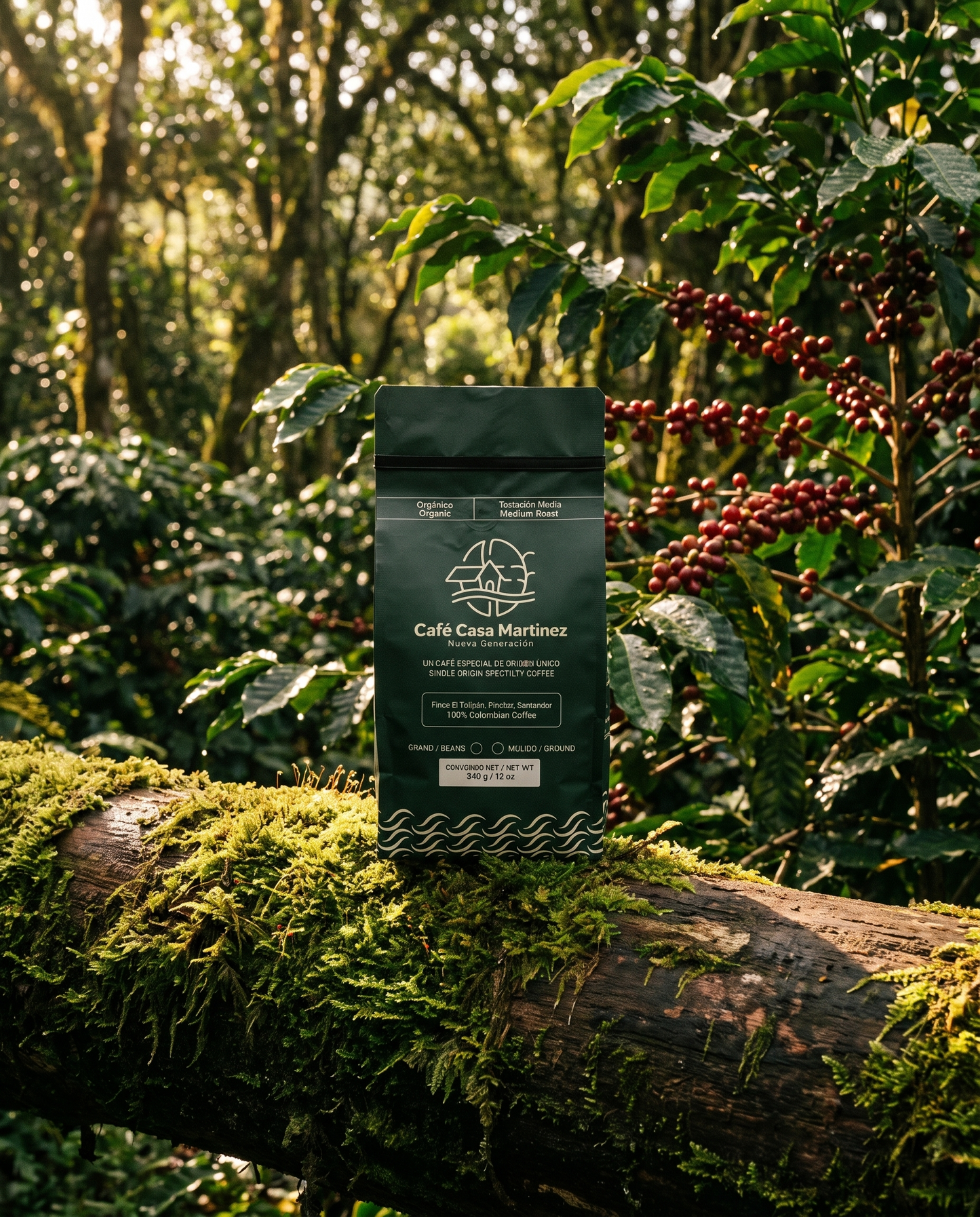 Casa Martínez Organic — bag resting on mossy log in native forest